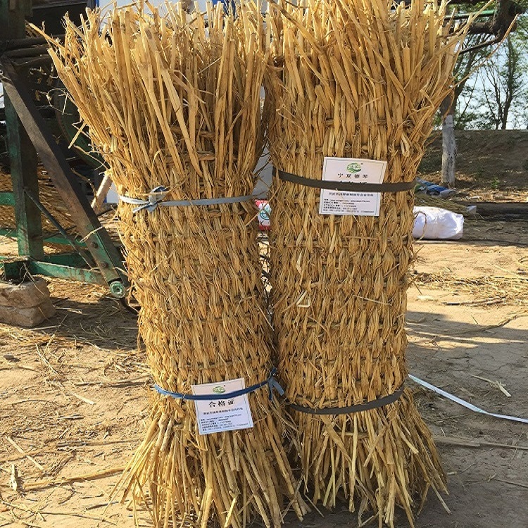寧夏麻豆午夜福利电影子